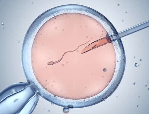 Fécondation in vitro (FIV) et ICSI